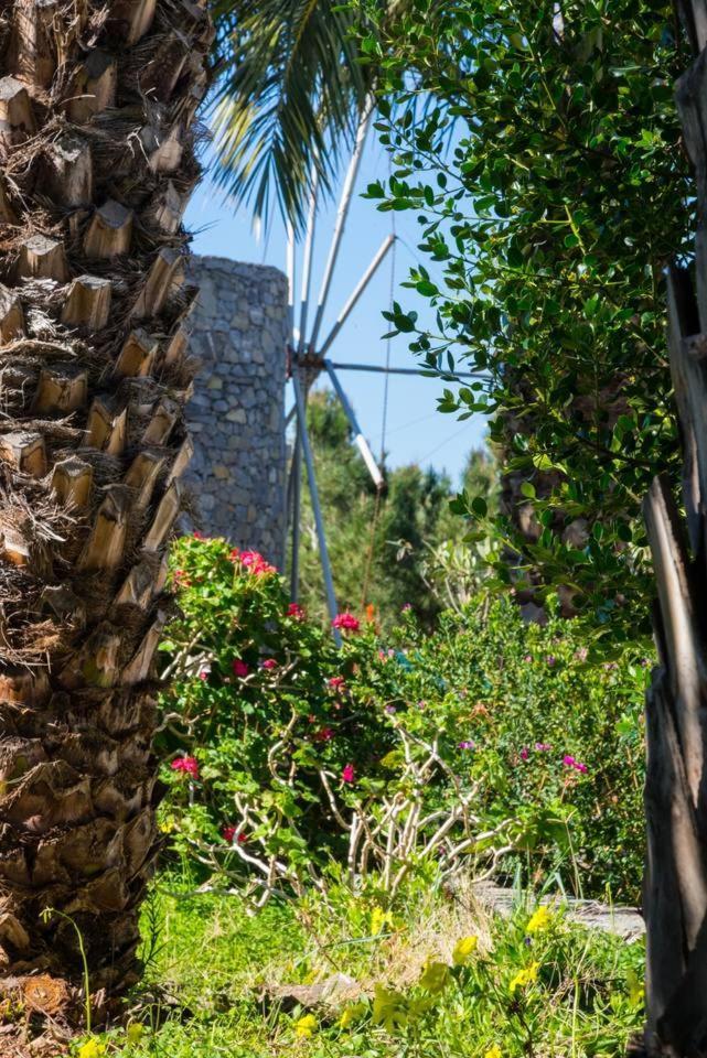 Willa Authentic Cretan Stone Windmill Sitia  Zewnętrze zdjęcie